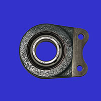 Eccentric Bearing